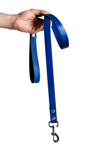 Blue PawFlex PAWPAW Dog Leash