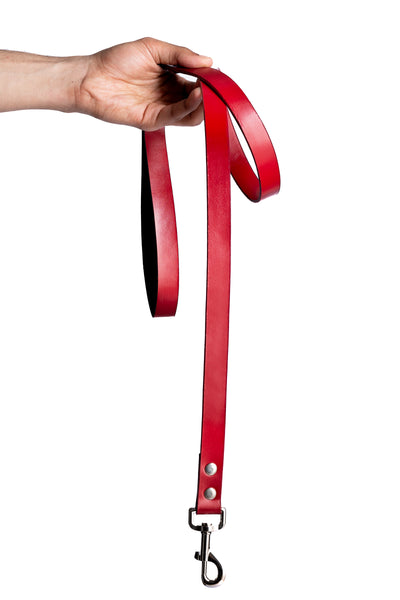 Red PawFlex PAWPAW Dog Leash