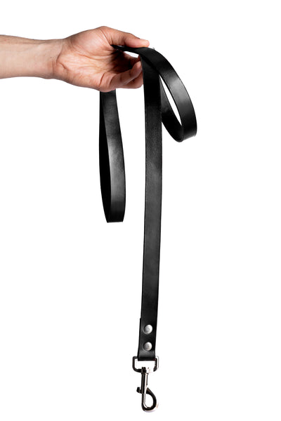 Black PawFlex PAWPAW Dog Leash