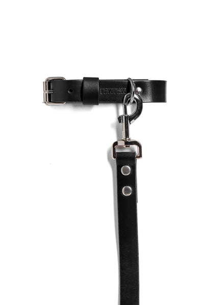 Black PAWPAW Dog Collar + Leash Set