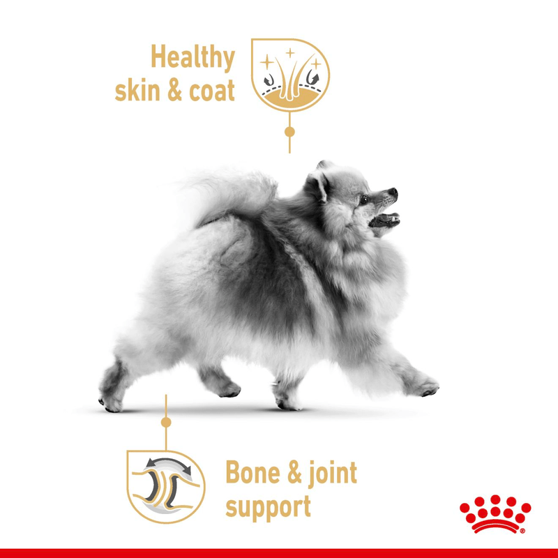 Pomeranian Royal Canin Adult Dog Food