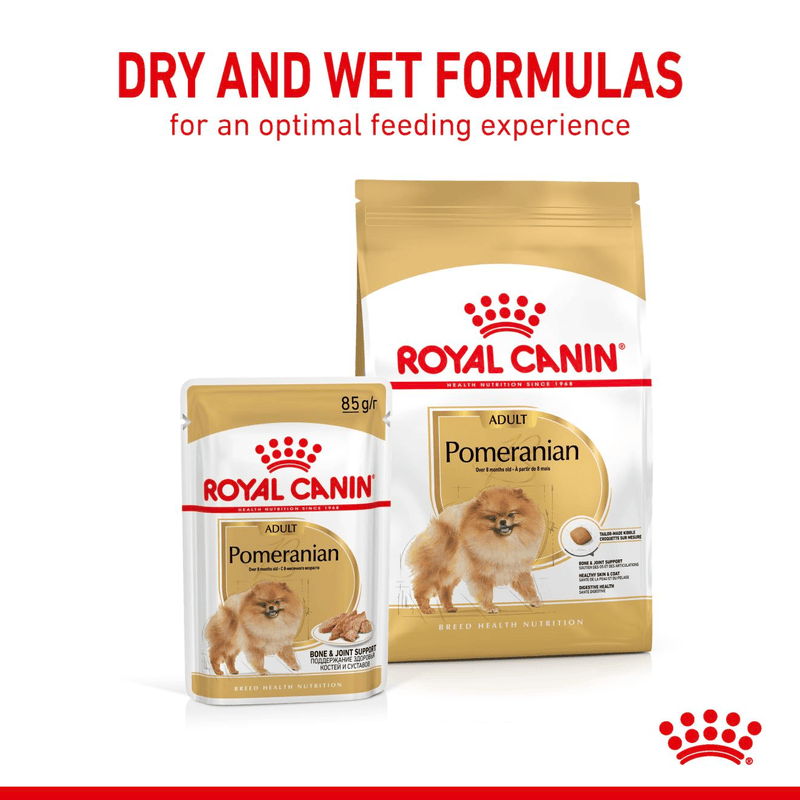 Pomeranian Royal Canin Adult Dog Food