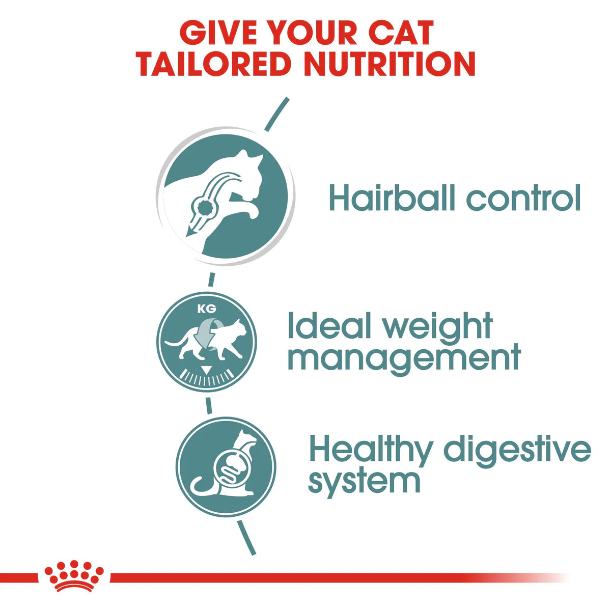 Hairball Care Chicken Gravy 85g Royal Canin Adult Cat Food
