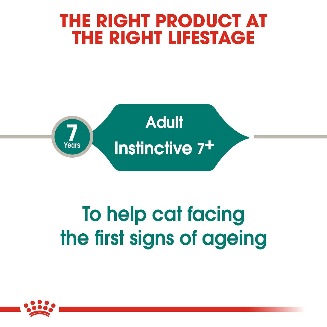 Instinctive 7+ Chunks Gravy 85g Royal Canin All Breeds Adult Cat Food
