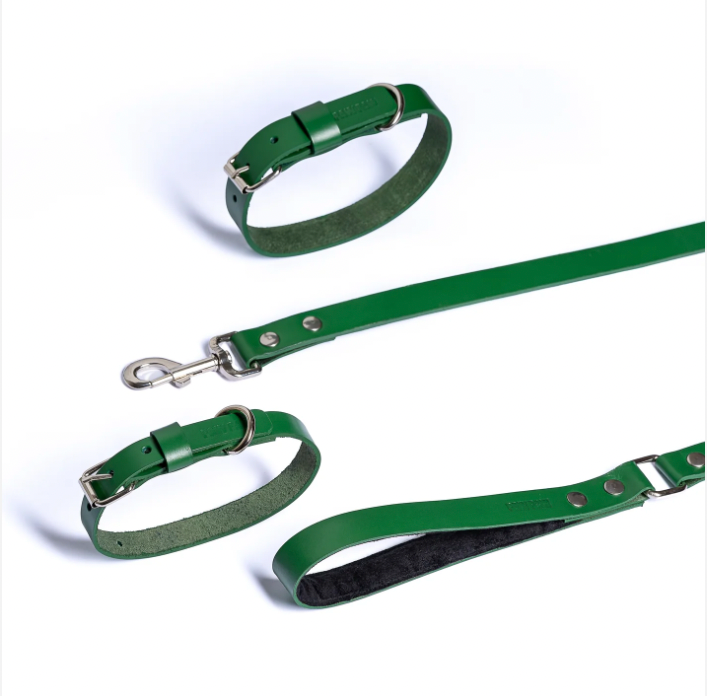 Green PAWPAW Dog Collar + Leash Set