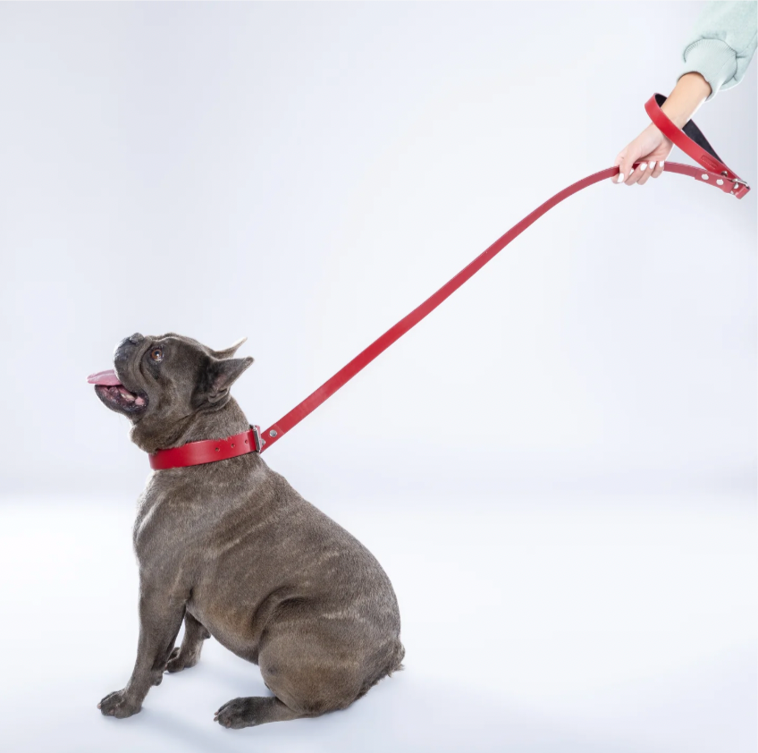Red PAWPAW Dog Collar + Leash Set