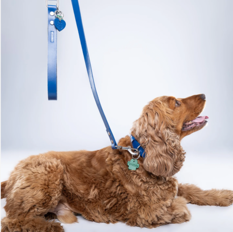 Blue PAWPAW Dog Collar + Leash Set