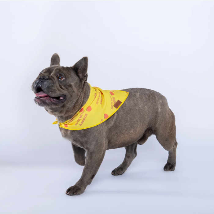 “Cutie With A Bootie” PAWPAW Dog Bandana