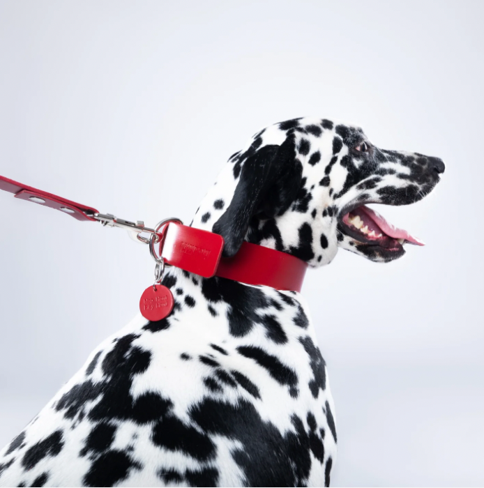 Red PAWPAW Dog Leather Collar