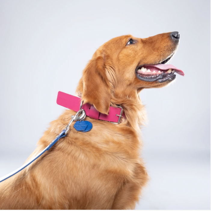 Pink PAWPAW Dog Leather Collar