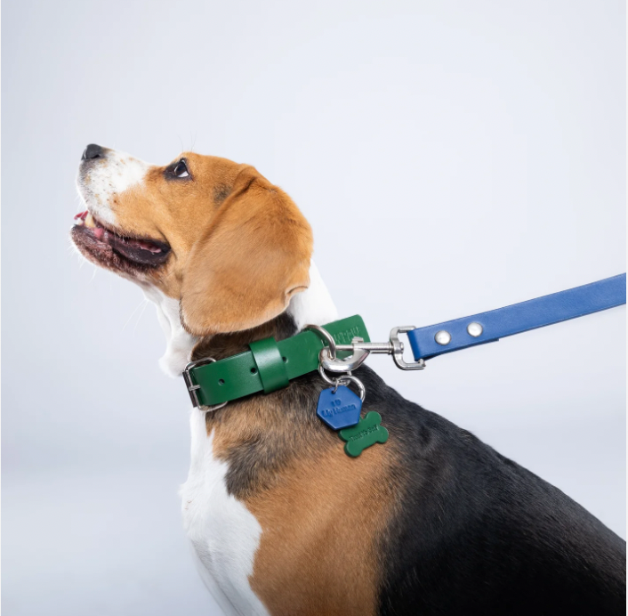 Green PAWPAW Dog Leather Collar