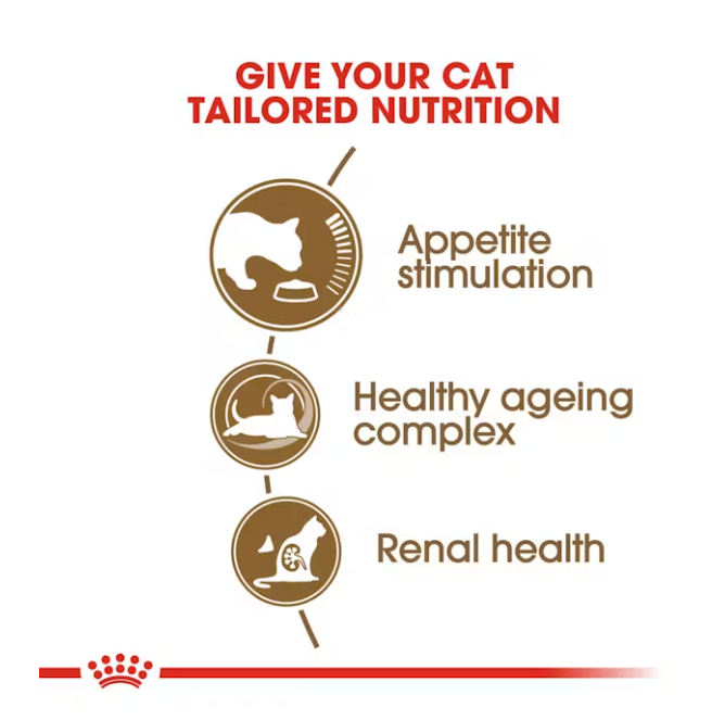 Senior Ageing 12+ Royal Canine All Breeds Senior Cat Food