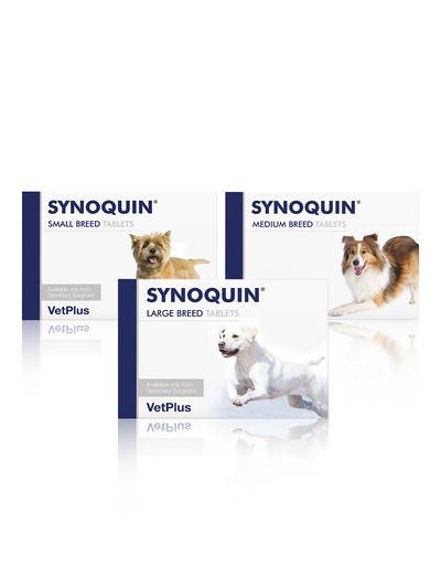 Vet-Plus SYNO-QUIN Large Breed Adult Dog Supplement Tablets - 30 Tablets