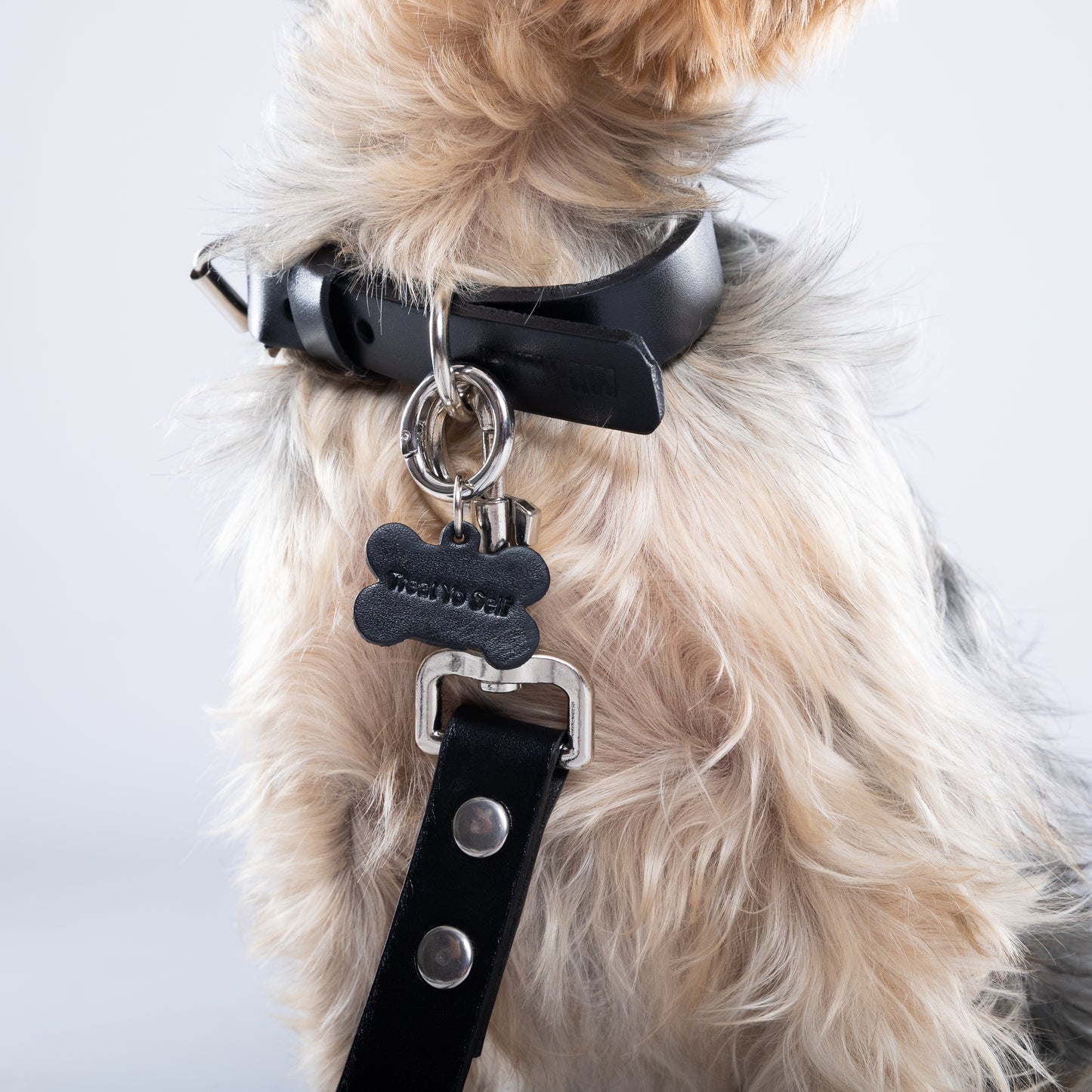 Black PAWPAW Dog Collar + Leash Set