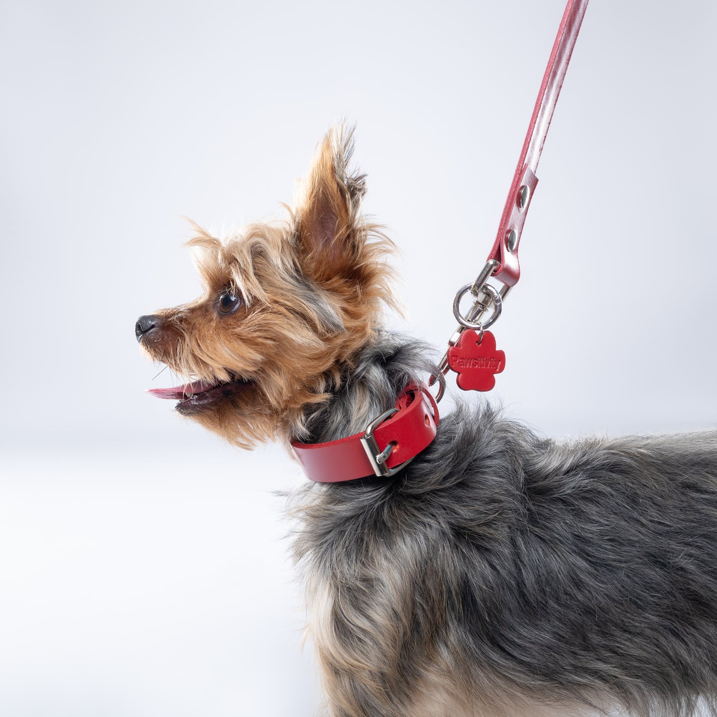 Red PAWPAW Dog Collar + Leash Set