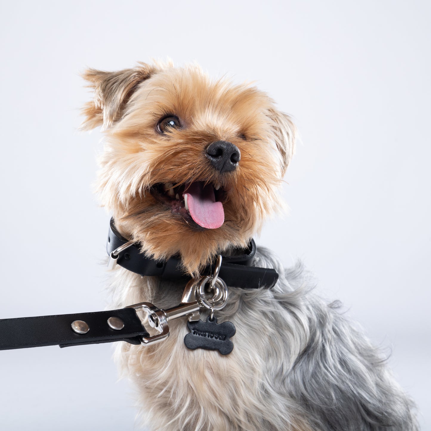 “Treat Yo Self” PَAWPAW Dog Collar Charm