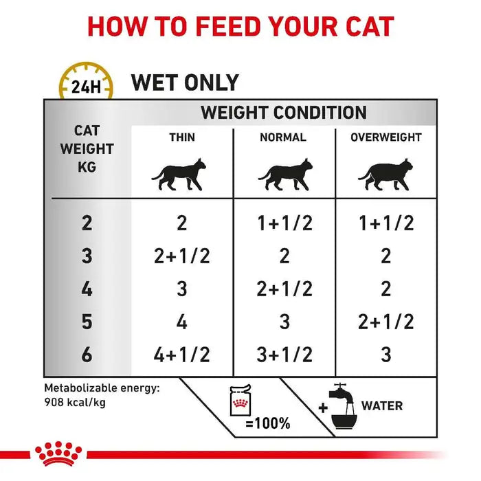 Urinary S/O Chicken Gravy 85g Royal Canin All Breeds Adult Cat Food