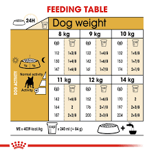French Bulldog Royal Canin Adult Dog Food