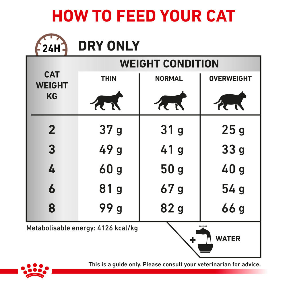 Hepatic Royal Canin All Breeds Adult Cat Food