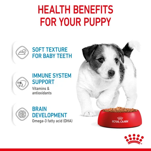 Mini Puppy Chunks Wet Gravy 85g Royal Canin Small Breed Dog Food