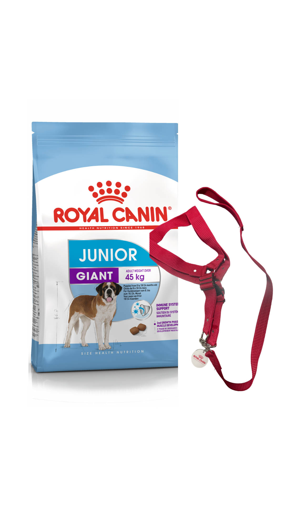 Giant Junior + Harness/Leash