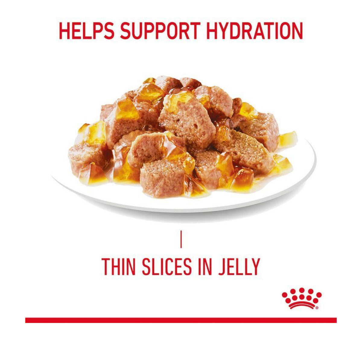 Hair & Skin Wet Jelly 85g Royal Canin All Breeds Adult Cat Food