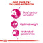 Savour Exigent Royal Canin All Breeds Adult Cat Food