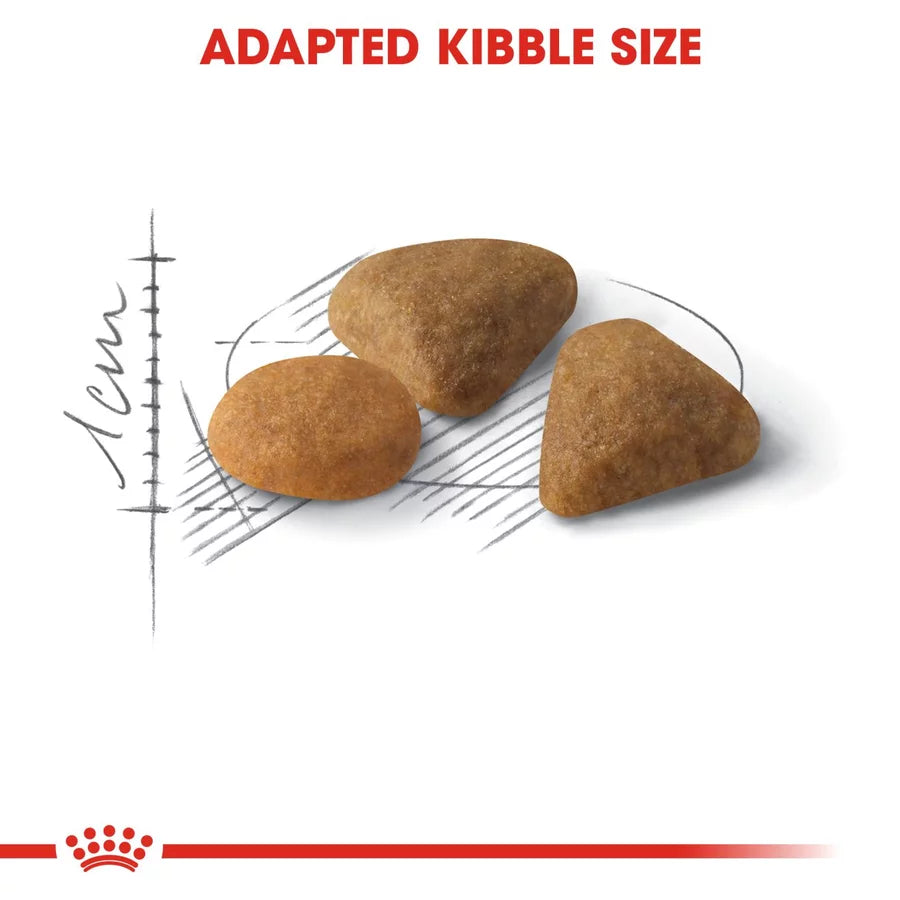 Savour Exigent Royal Canin All Breeds Adult Cat Food