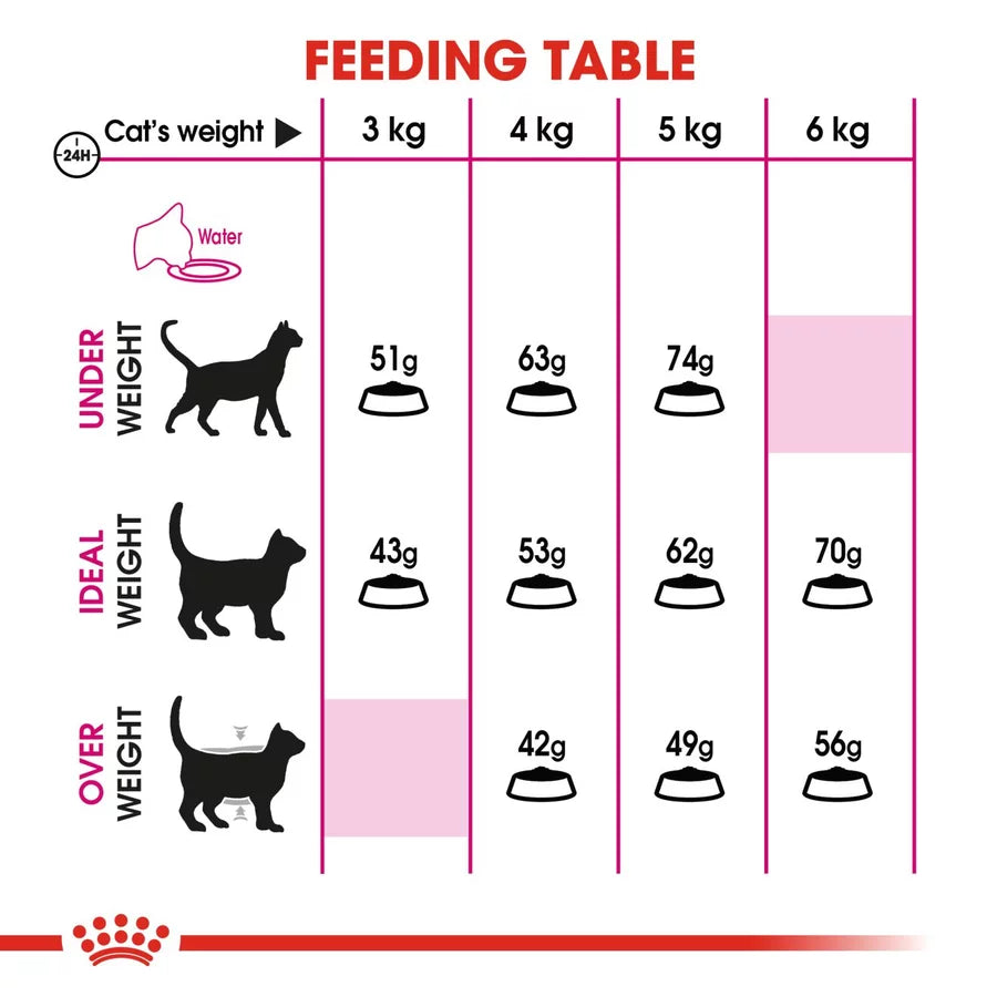 Savour Exigent Royal Canin All Breeds Adult Cat Food