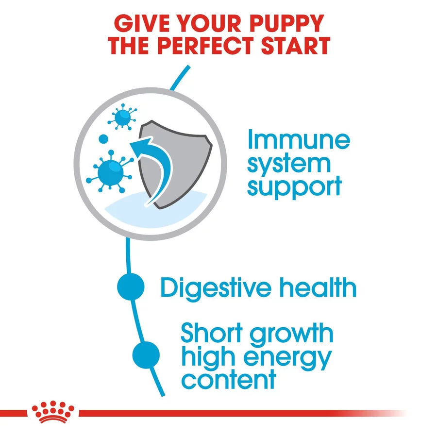 Puppy Royal Canin Medium Breed Dog Food
