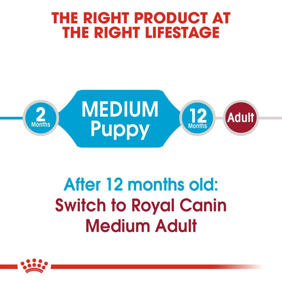 Puppy Royal Canin Medium Breed Dog Food