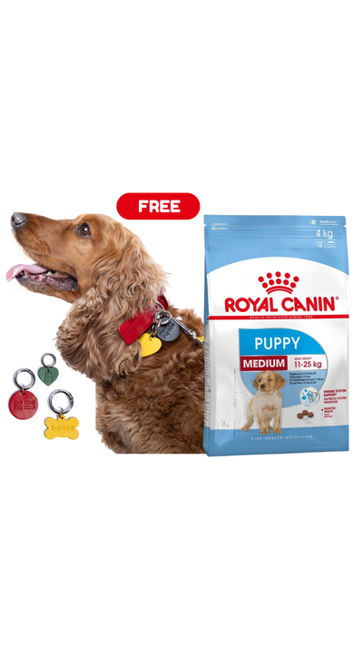 Medium 15Kg Royal Canin Medium Breed Puppy Food + FREE PAWPAW CHARM