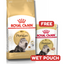 Persian 10Kg Royal Canin Adult Cat Food + FREE WET POUCH