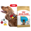 German Shepherd 3Kg Royal Canin Puppy Food + FREE PAWPAW CHARM