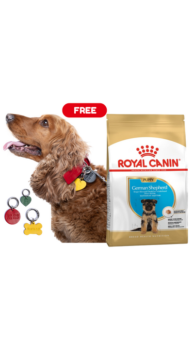 German Shepherd 3Kg Royal Canin Puppy Food + FREE PAWPAW CHARM
