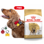 French Bulldog Royal Canin Adult Dog Food + FREE PAWPAW CHARM
