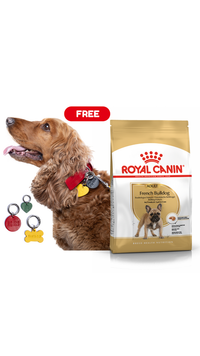French Bulldog Royal Canin Adult Dog Food + FREE PAWPAW CHARM