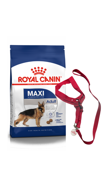 Maxi Adult 15kg + Harness/leash