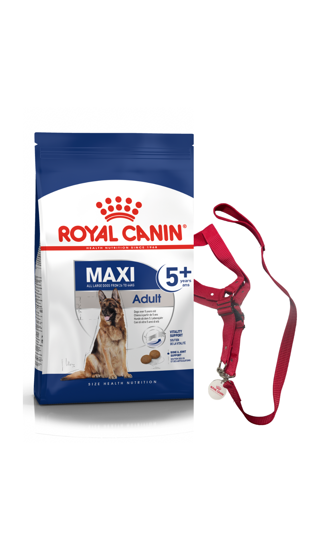 Maxi Adult 5+ 15kg + Harness/Leash