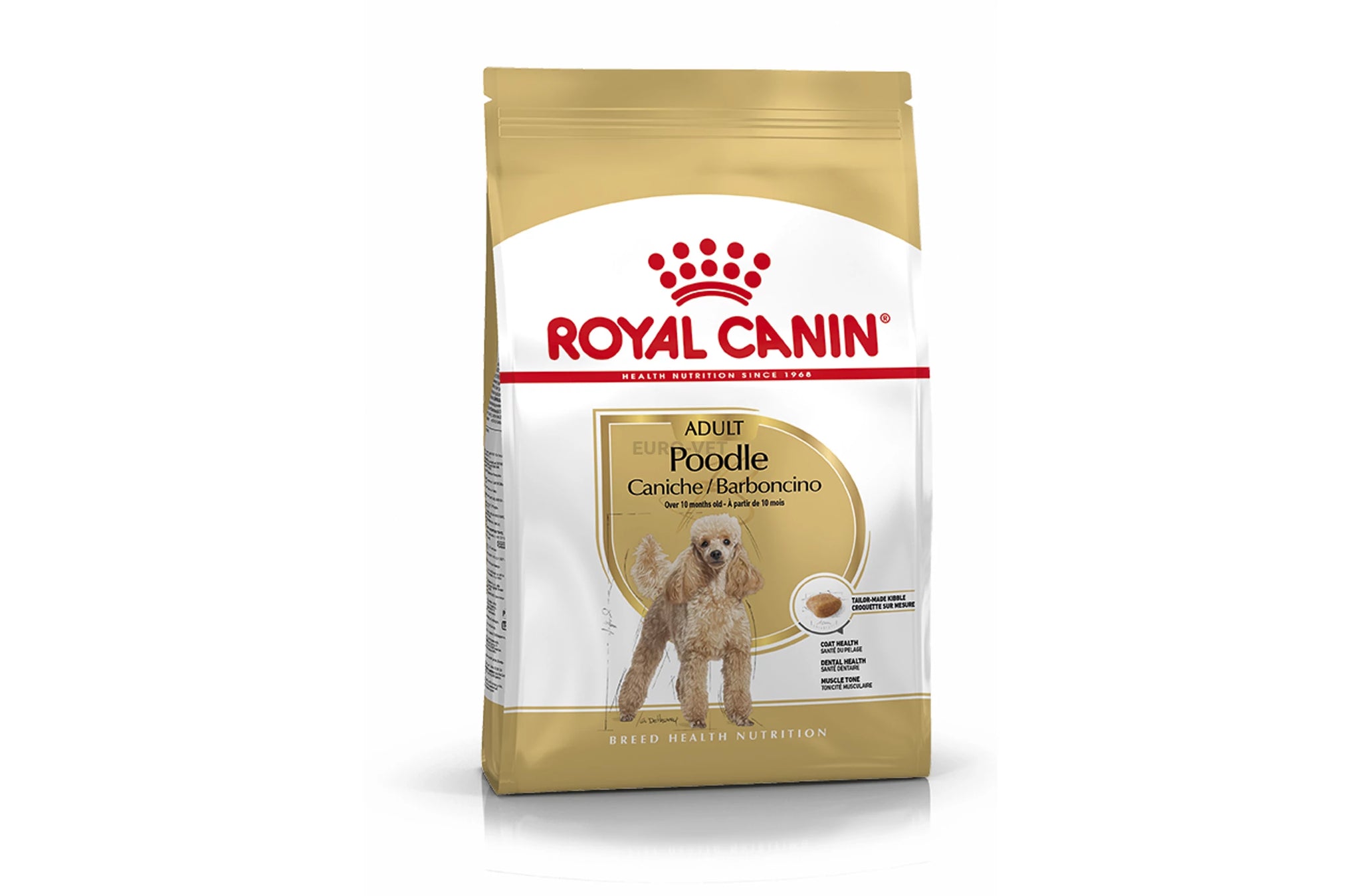 Poodle Adult