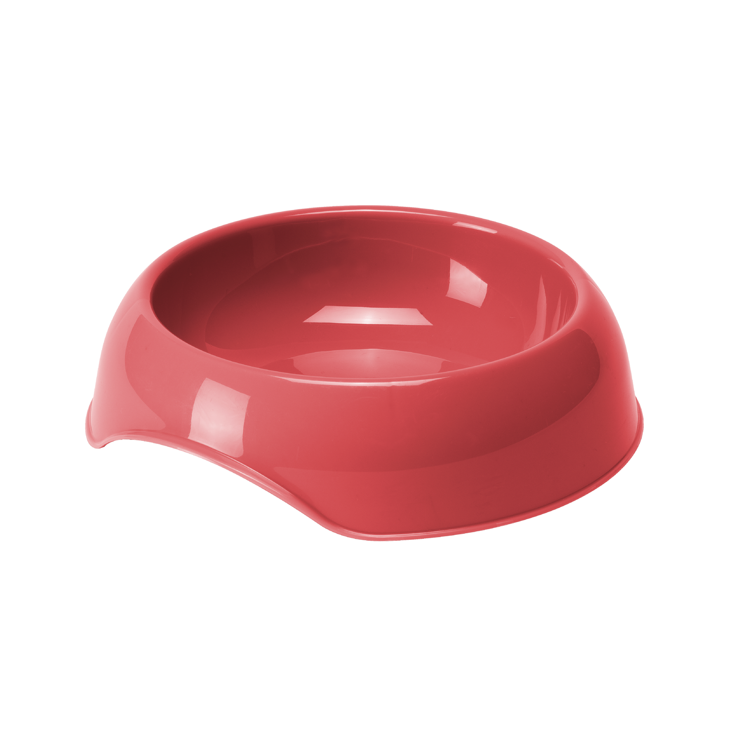 Moderna Dinnertime Gusto Feeding Bowl