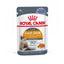 Hair & Skin Wet Jelly 85g Royal Canin All Breeds Adult Cat Food
