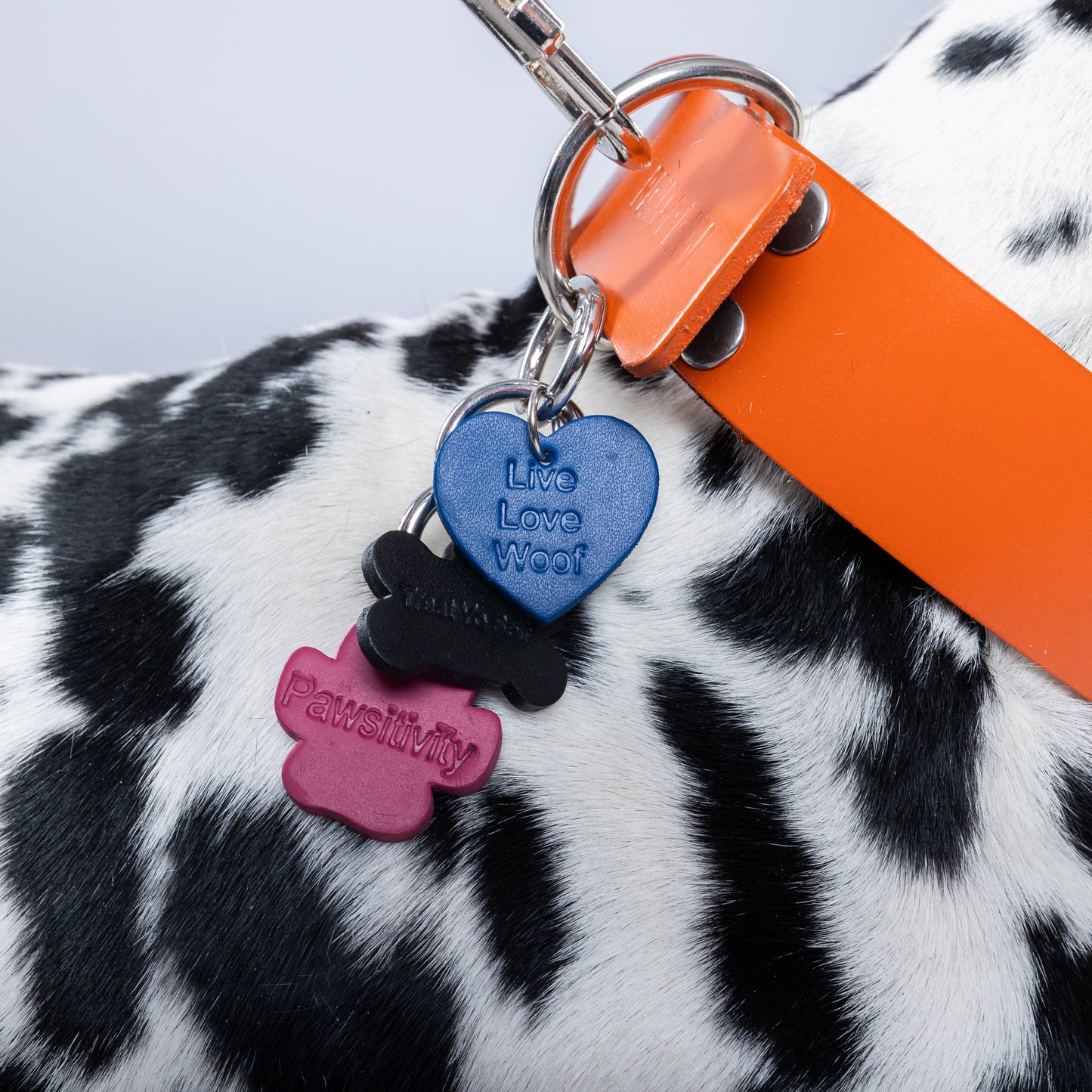 “Pawsitivity” PَAWPAW Dog Collar Charm