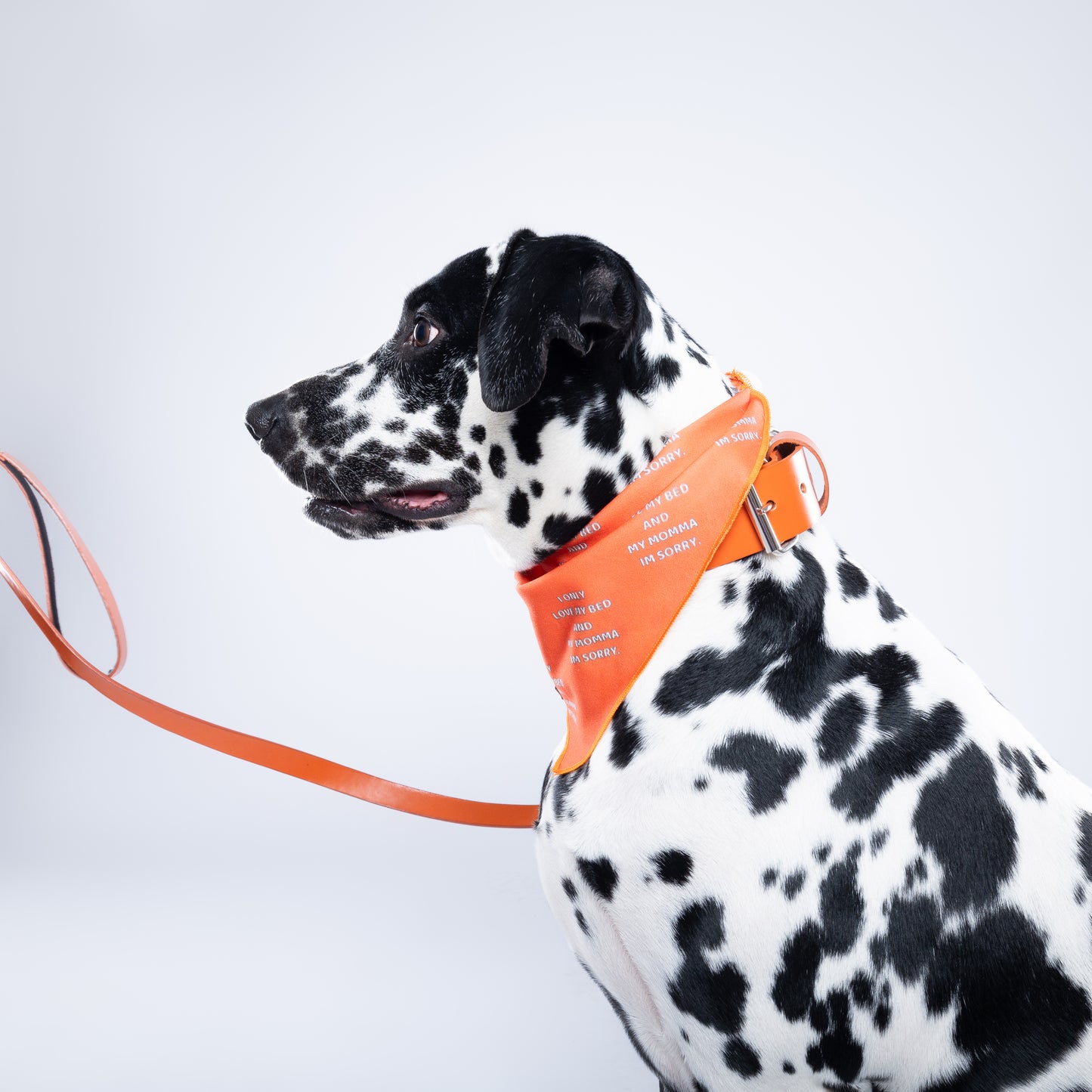Orange PAWPAW Dog Collar + Leash Set