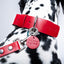 Red PAWPAW Dog Leather Collar