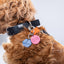 ”I Love My Human” PَAWPAW Dog Collar Charm