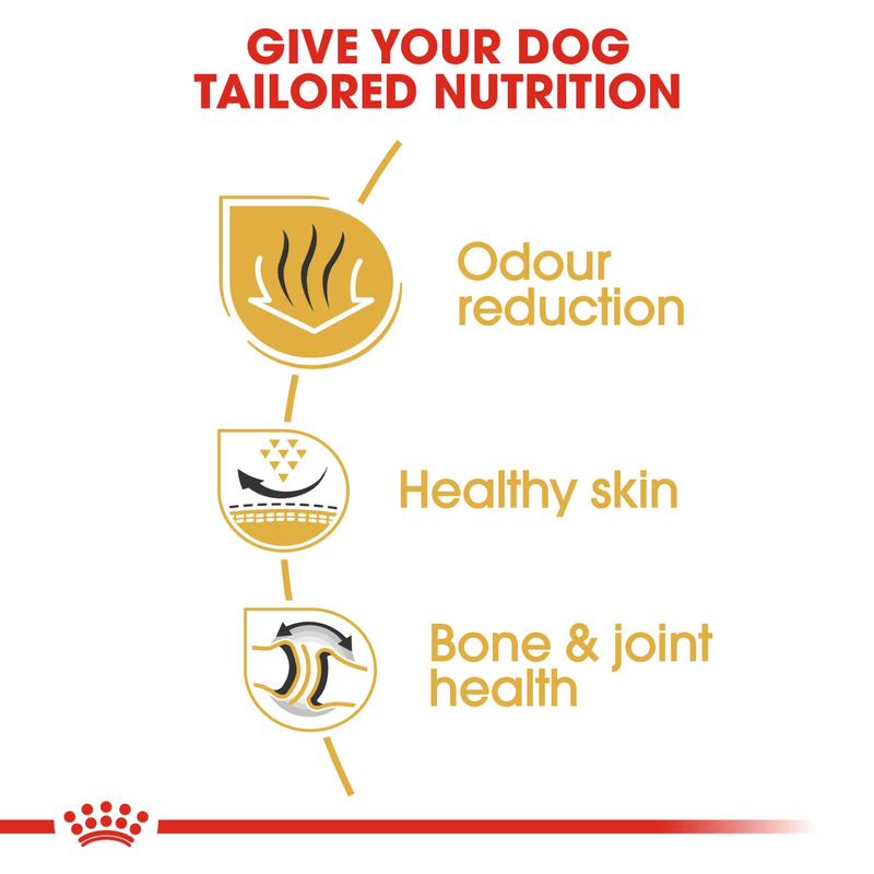 Bulldog Royal Canin Adult Dog Food