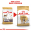 Bulldog Royal Canin Adult Dog Food