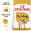 Bulldog Royal Canin Adult Dog Food
