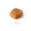 Cavalier King Charles Royal Canin Adult Dog Food